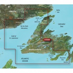 Garmin BlueChart g3 Vision HD - VCA008R - Newfoundland West - microSD /SD