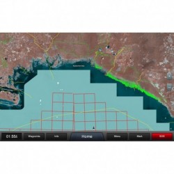 Garmin Standard Mapping - Gulf Coast Professional microSD /SD Card