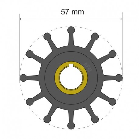 Albin Pump Premium Impeller Kit 57 x 12.7 x 20mm - 12 Blade - Key Insert