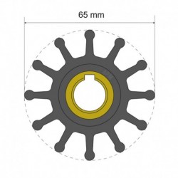 Albin Pump Premium Impeller Kit 65 x 15.8 x 41.5mm - 12 Blade - Key Insert